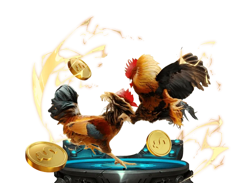 Hiểu rõ luật và kèo